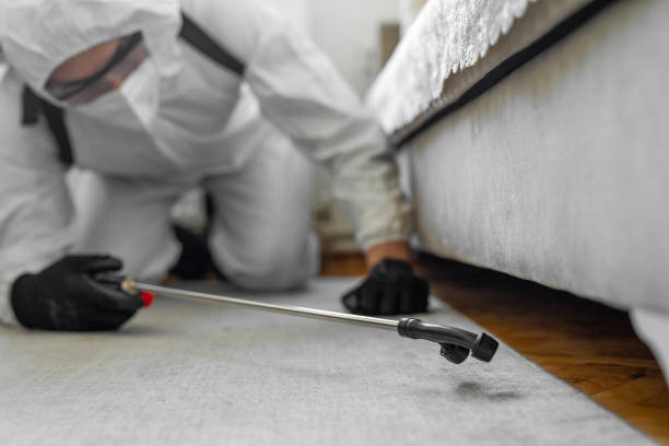 Professional Cockroach Control technician working in Halls, TN