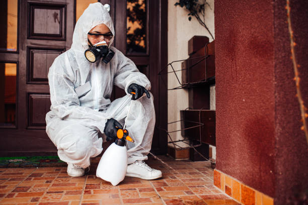 Reliable Cockroach Control contractor in Halls, TN by Nex Pest Control