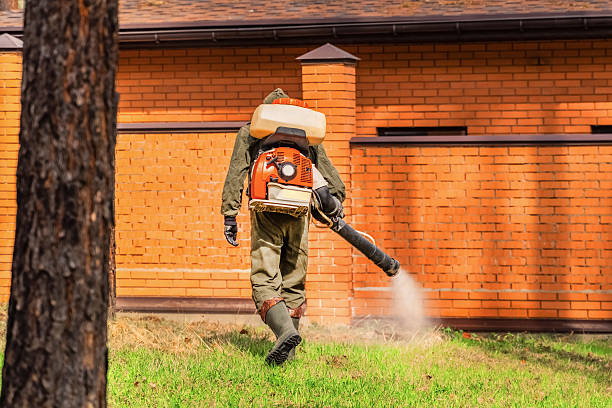 Top rated local Cockroach Control specialists in Halls, TN